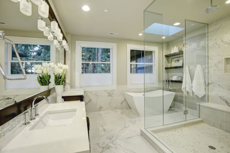 Modern Shower with Glass Enclosure